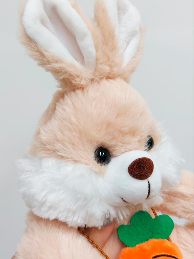 Coelho de Pelúcia 25 cm Páscoa Fizzy Toys 21713 Marrom Unico